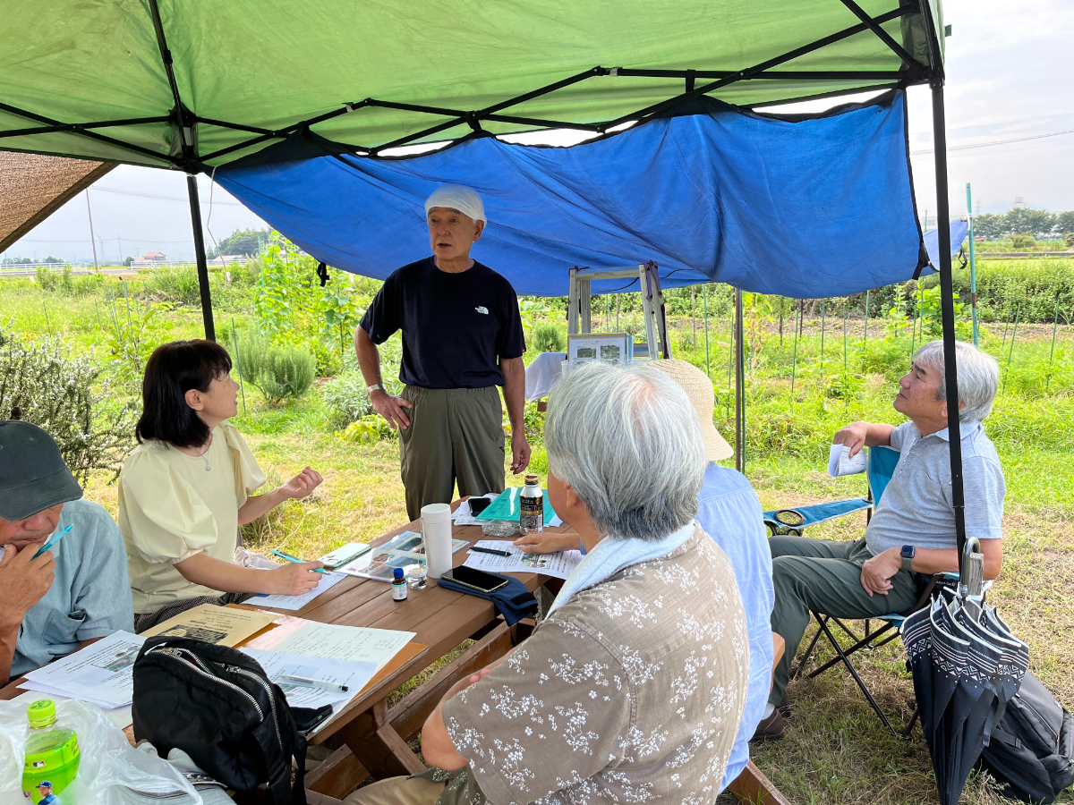 楽笑農園カームガーデン,自然栽培,鳥取,トゥルシ,ホーリーバジル