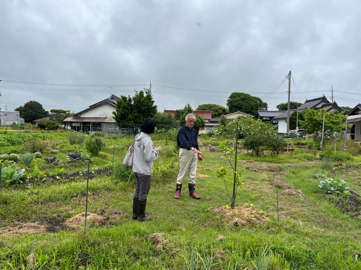 楽笑農園カームガーデン,自然栽培,鳥取,トゥルシ,ホーリーバジル